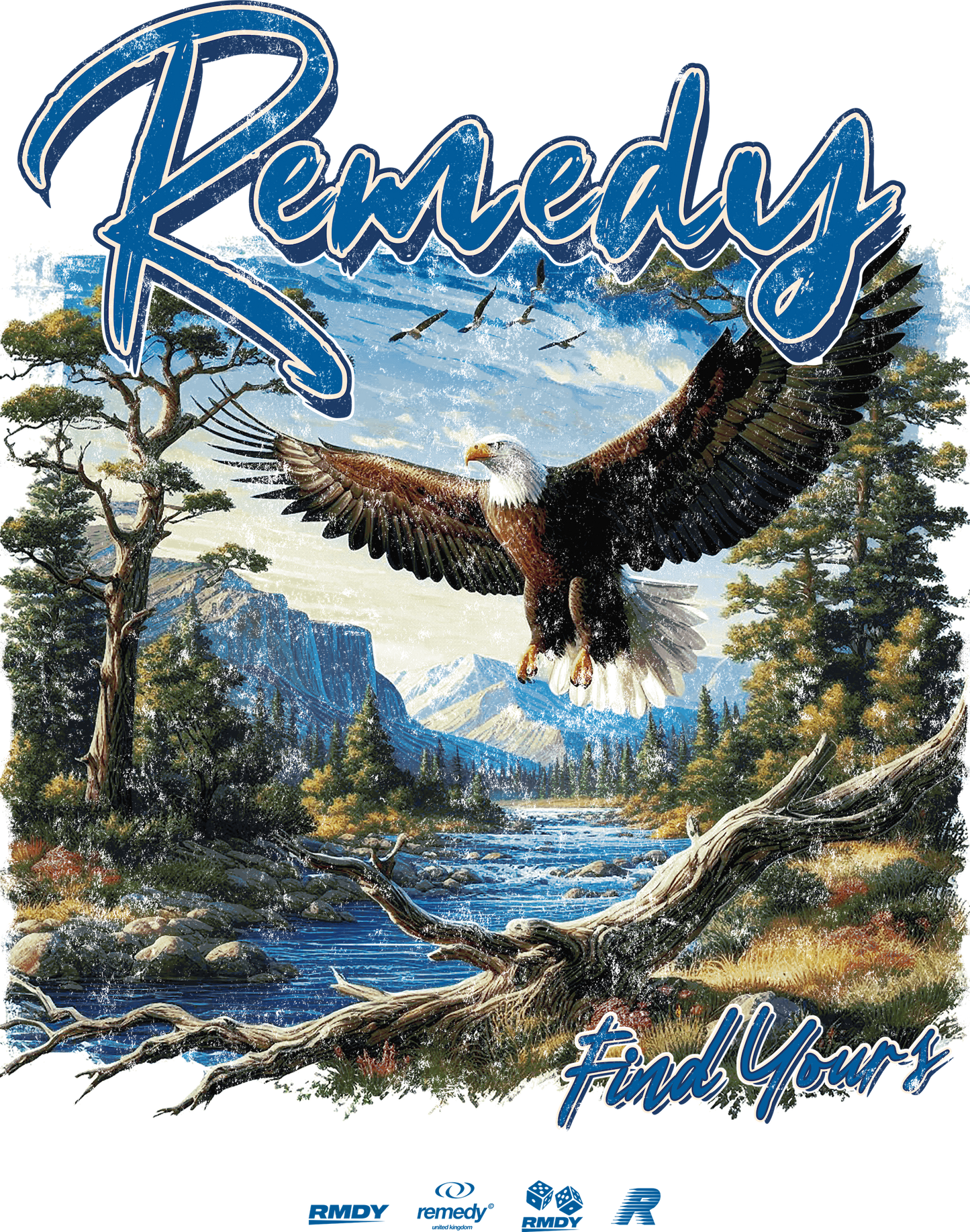 Mountain Eagle Print